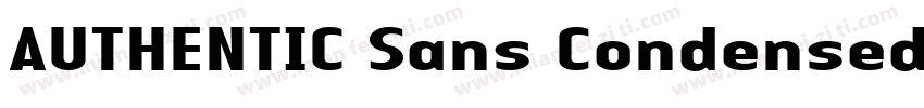 AUTHENTIC Sans Condensed 130字体转换